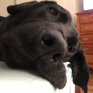 Meet your Posher, Mike